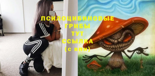 гидра Дмитриев