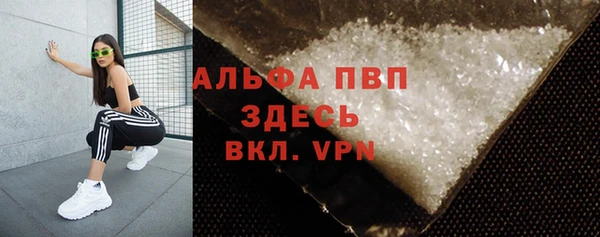 ПСИЛОЦИБИНОВЫЕ ГРИБЫ Магас