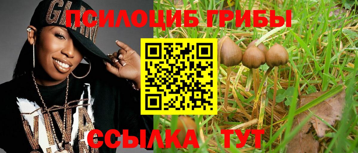 Псилоцибиновые грибы Psilocybe  Галлюциногенные грибы мицелий  Вход с VPN  Рубцовск 